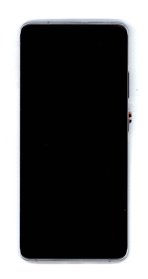 Дисплей для Samsung Galaxy S21 Ultra 5G SM-G998B/DS серебро с рамкой
