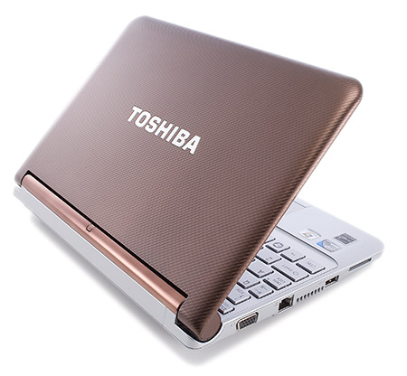 Toshiba NB305